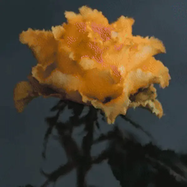 Bloom Cycle